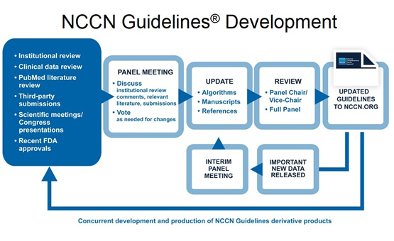 Development And Update Of Guidelines